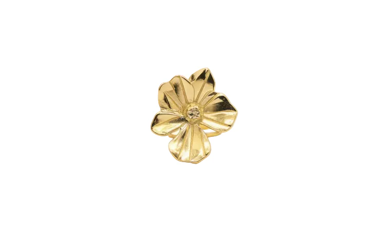 Tropical Ring - Image 3